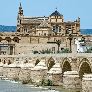 Imagen para licitaciones en Córdoba